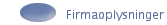 Firmaoplysninger